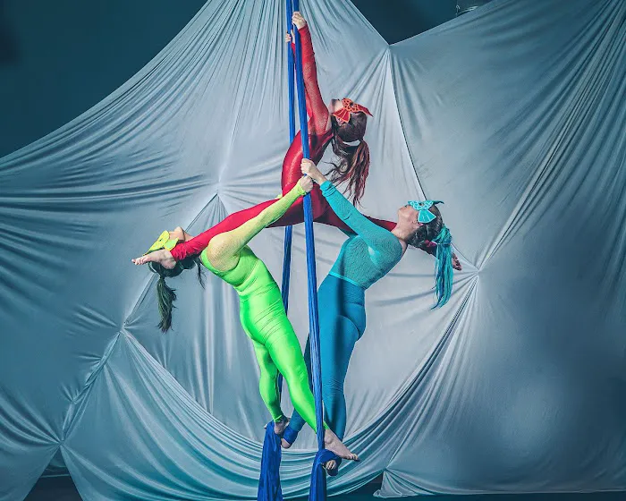 Upside Aerial Arts & Fitness Picture 1