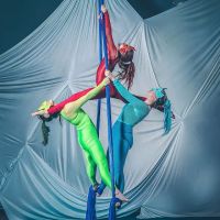 Upside Aerial Arts & Fitness ico