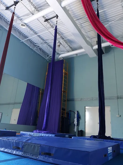 Upside Aerial Arts & Fitness Picture 10