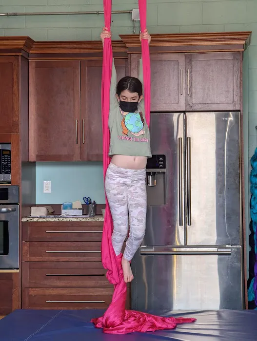 Upside Aerial Arts & Fitness Picture 7