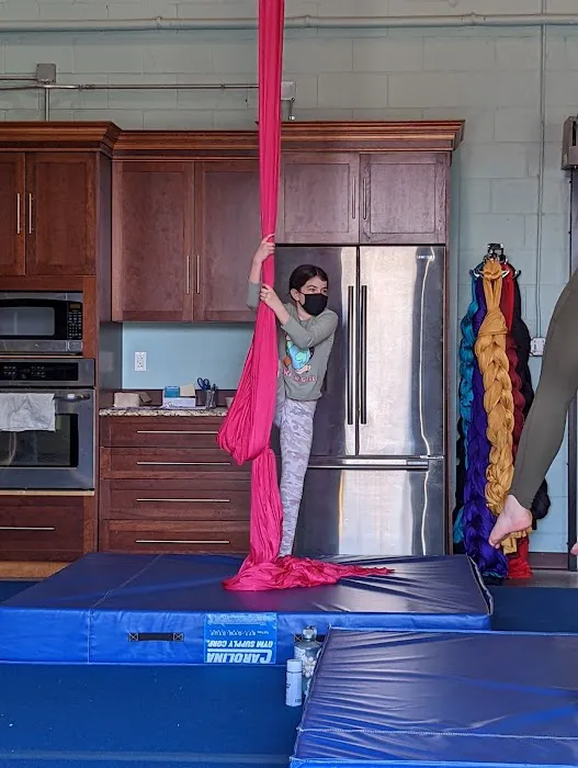 Upside Aerial Arts & Fitness Picture 8