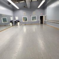 To The Pointe Dance ico