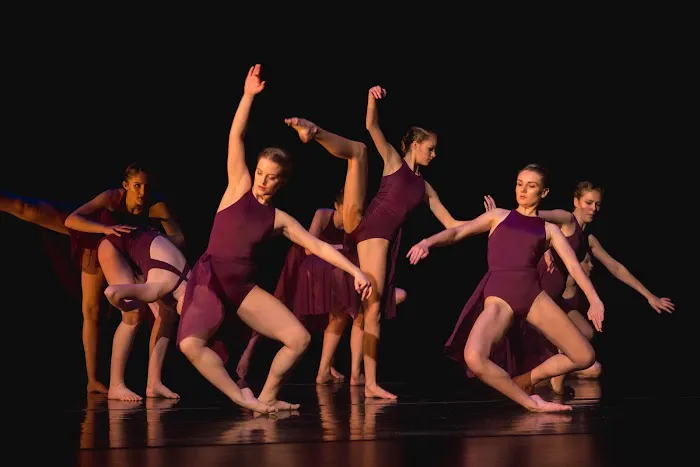 Dance Theatre of Greenville Picture 5