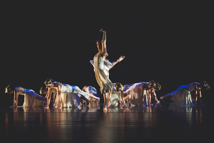 Dance Theatre of Greenville Picture 8