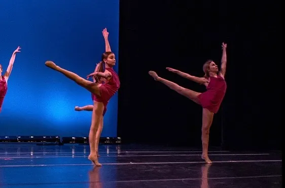Dance Theatre of Greenville Picture 9