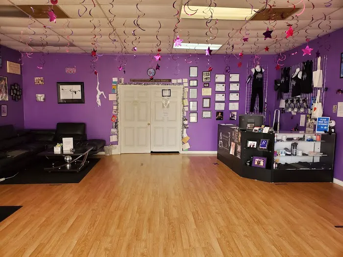 The Pole Academy LLC Picture 4