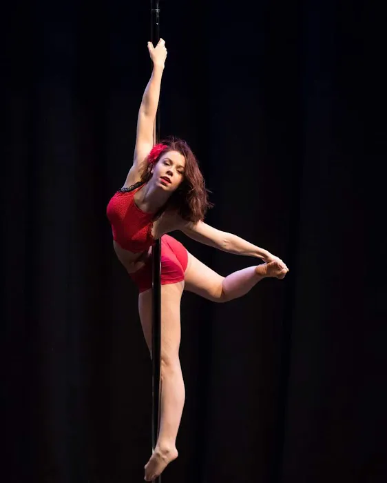 The Pole Academy LLC Picture 8