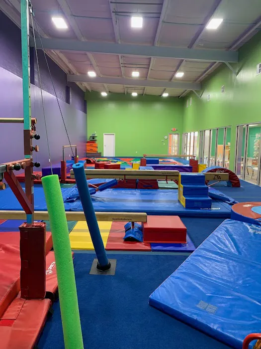 The Little Gym of Greenville Picture 3