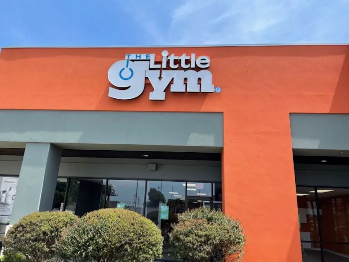 The Little Gym of Greenville Picture 6