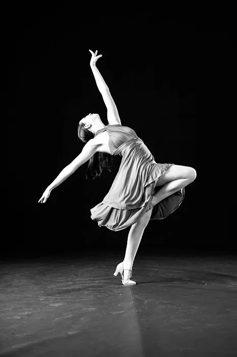 Let's Dance Picture 2