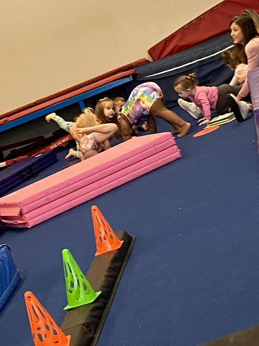 Tumble Tots of Lexington Inc Picture 6