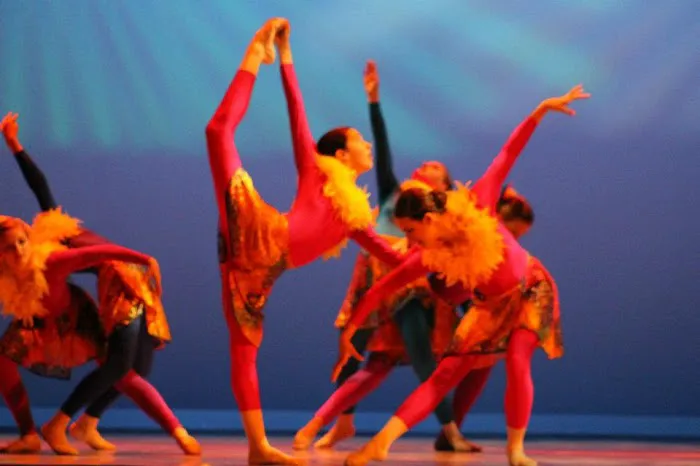 The Academy of Dance Arts Picture 4