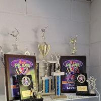 Yadkin Valley Gymnastics Academy ico