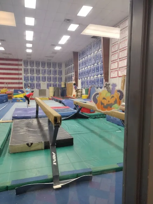 Yadkin Valley Gymnastics Academy Picture 7