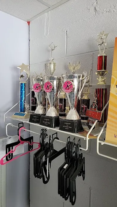 Yadkin Valley Gymnastics Academy Picture 4