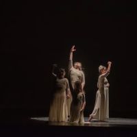 Dancing Daughters Ministry, Inc ico