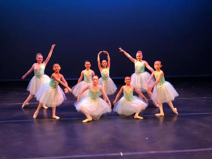 Triangle Academy of Dance Picture 3