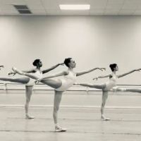 Triangle Academy of Dance ico