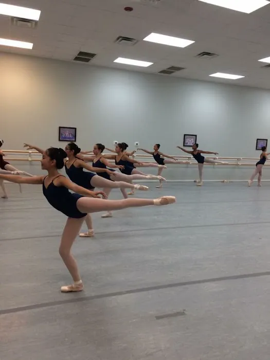 Triangle Academy of Dance Picture 4