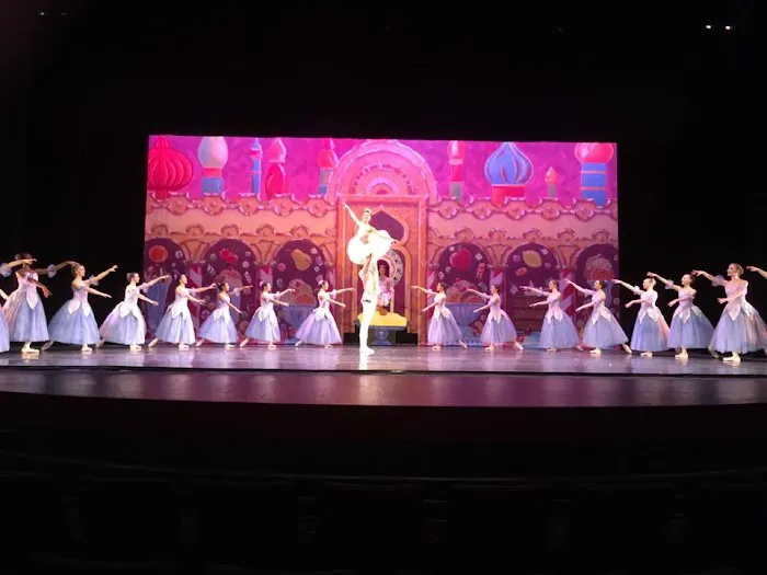 Triangle Academy of Dance Picture 10