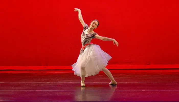 Graceful Expressions Picture 3