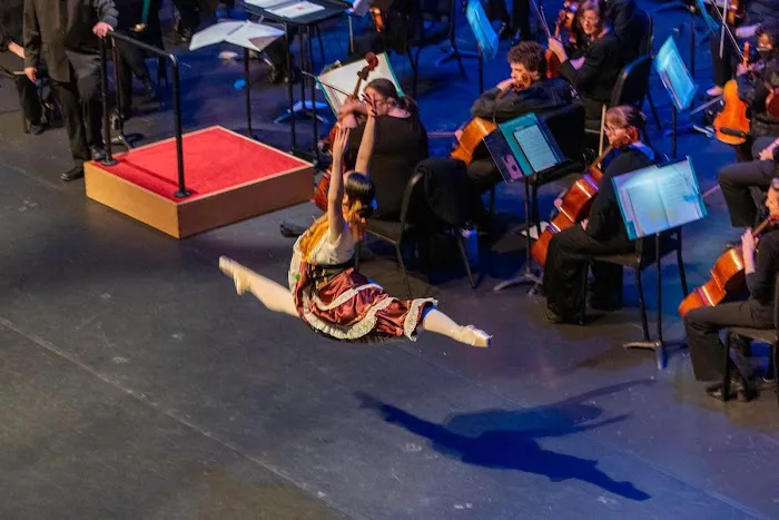 Triad International Ballet Picture 2