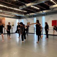 The Dance Lab Co. ico