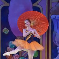 South Carolina Dance Theatre ico