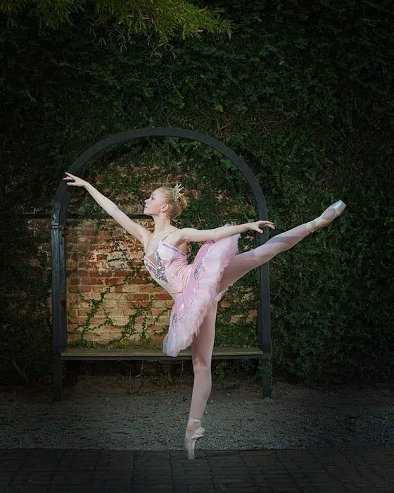 South Carolina Dance Theatre Picture 3
