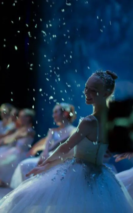 South Carolina Dance Theatre Picture 4