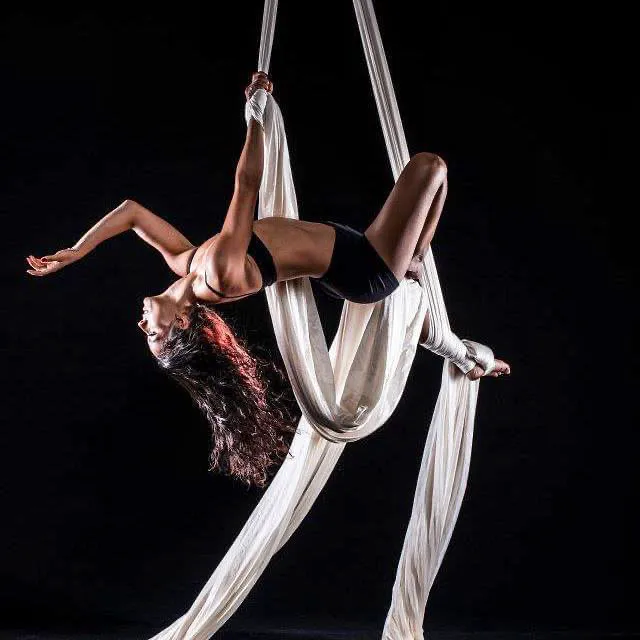 Cirque de Vol Aerial, Yoga, Fitness & Circus Community Picture 2