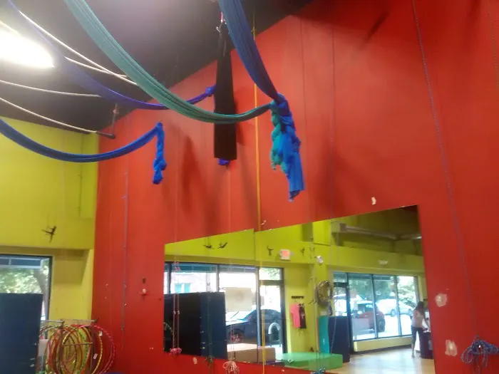 Cirque de Vol Aerial, Yoga, Fitness & Circus Community Picture 1