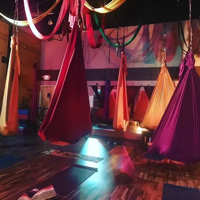 Cirque de Vol Aerial, Yoga, Fitness & Circus Community Picture 9