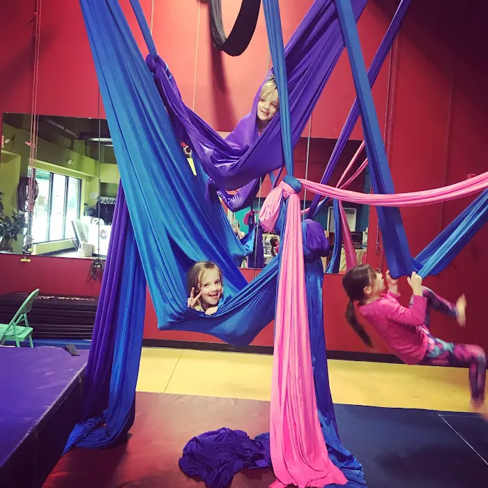 Cirque de Vol Aerial, Yoga, Fitness & Circus Community Picture 8