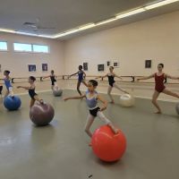 The Raleigh School of Ballet ico