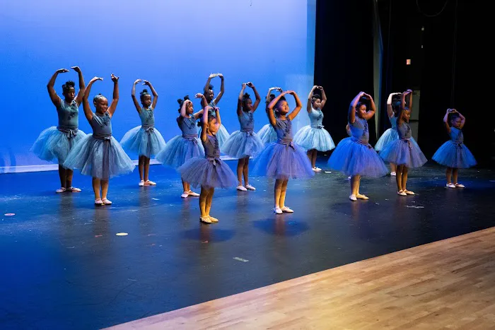 The Alternative Performing Arts Picture 3