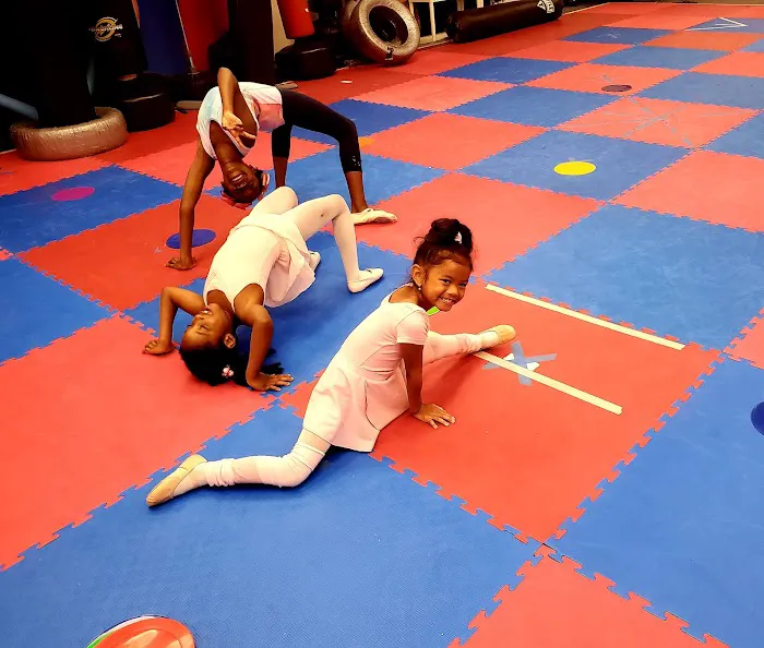 The Alternative Performing Arts Picture 1