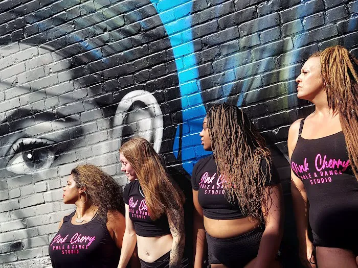 Pink Cherry Pole & Dance Studio Picture 10