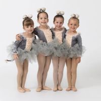 Silver Lining School of the Arts ico