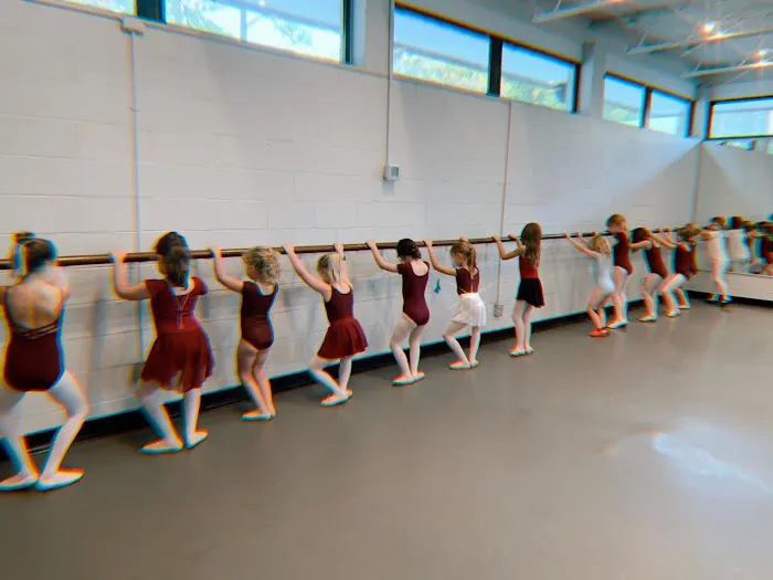 Palmetto Conservatory of Dance Picture 3