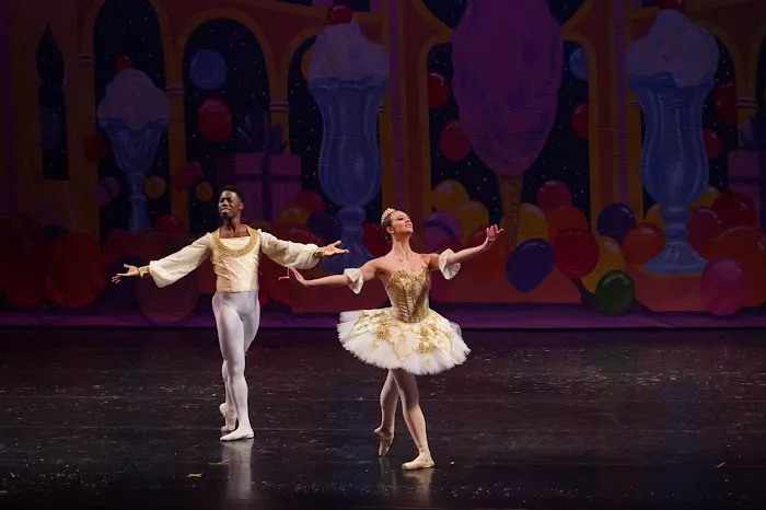 Palmetto Conservatory of Dance Picture 5