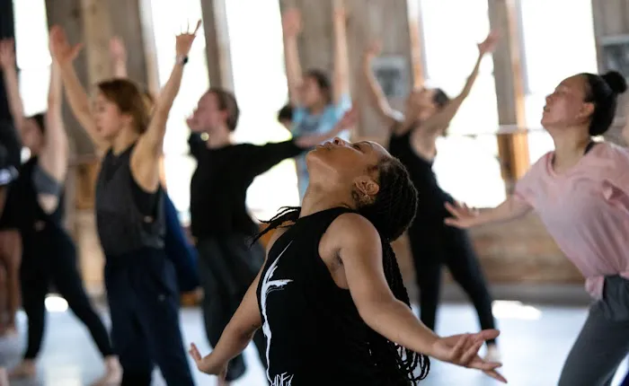 American Dance Festival - ADF Picture 3