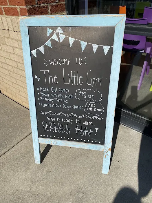 The Little Gym of Durham Picture 6