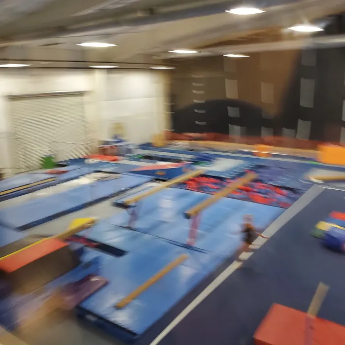DanceArts Greenville Picture 5