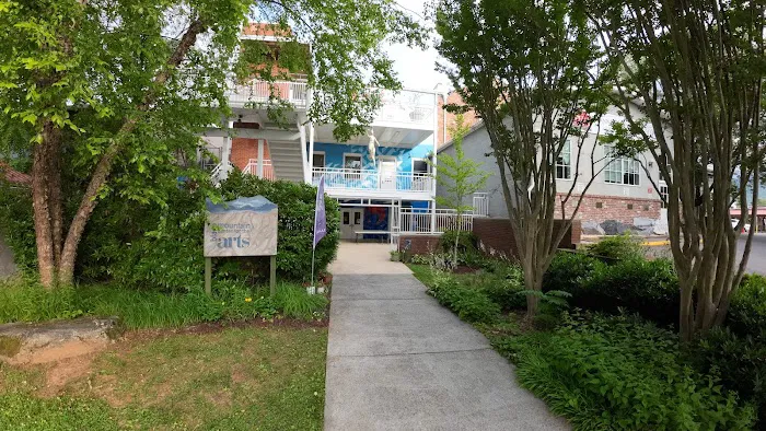 Black Mountain Center for the Arts Picture 7