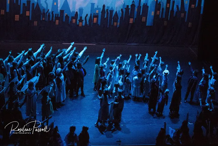 Asheville Performing Arts Academy Picture 2