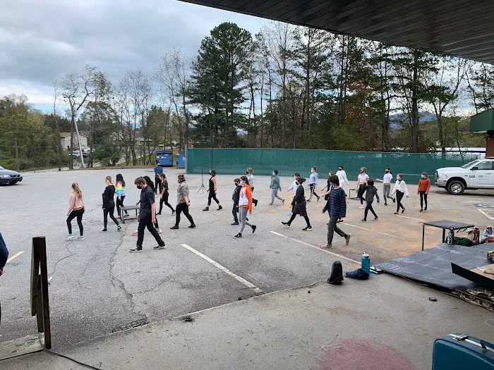 Asheville Performing Arts Academy Picture 5