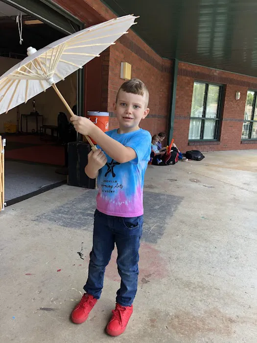 Asheville Performing Arts Academy Picture 10