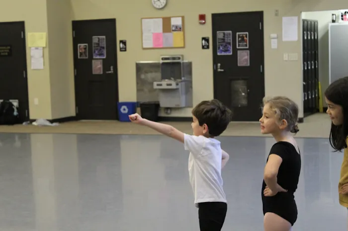 Community Ballet Picture 3