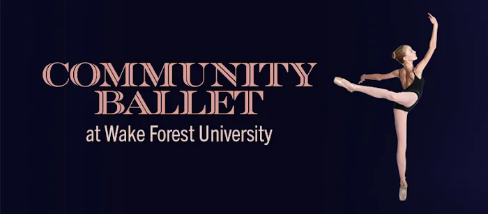 Community Ballet Picture 5